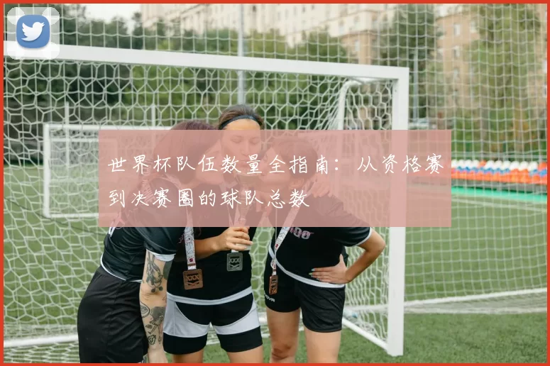 世界杯队伍数量全指南：从资格赛到决赛圈的球队总数