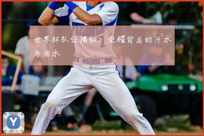 世界杯队伍揭秘：荣耀背后的汗水与泪水