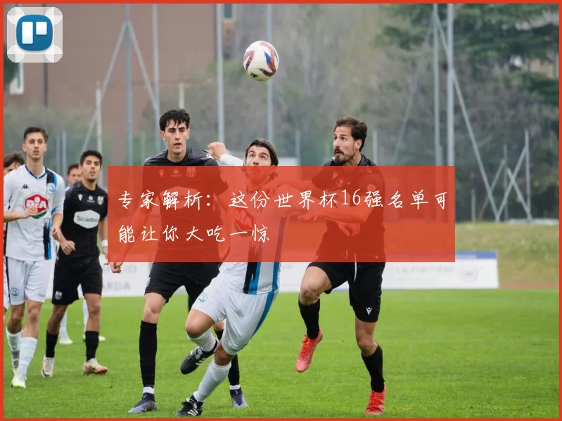 专家解析：这份世界杯16强名单可能让你大吃一惊