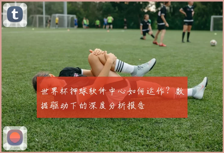 世界杯押球软件中心如何运作？数据驱动下的深度分析报告