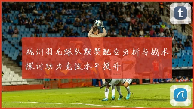 杭州羽毛球队默契配合分析与战术探讨助力竞技水平提升