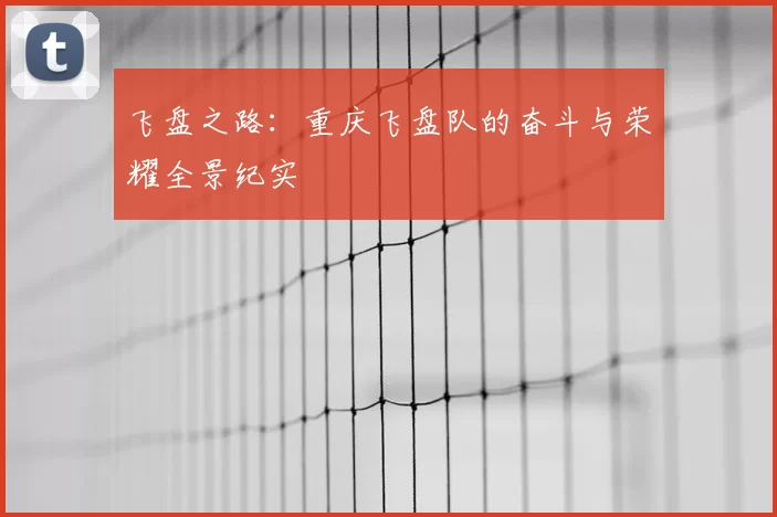 飞盘之路：重庆飞盘队的奋斗与荣耀全景纪实