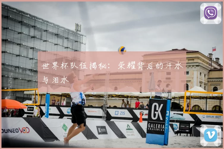 世界杯队伍揭秘：荣耀背后的汗水与泪水