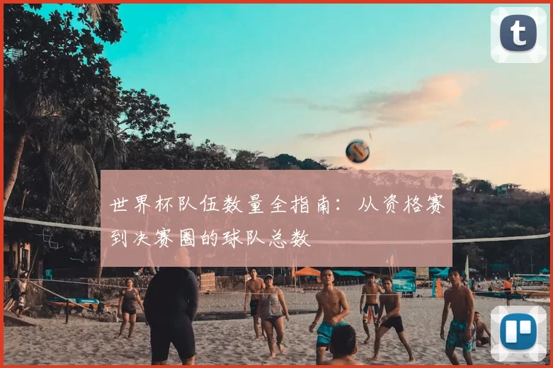 世界杯队伍数量全指南：从资格赛到决赛圈的球队总数