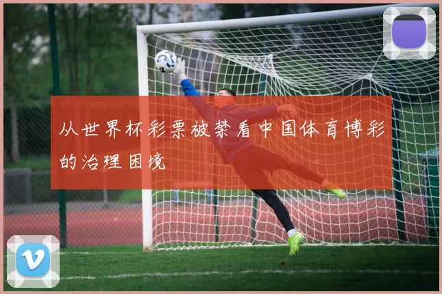 从世界杯彩票被禁看中国体育博彩的治理困境
