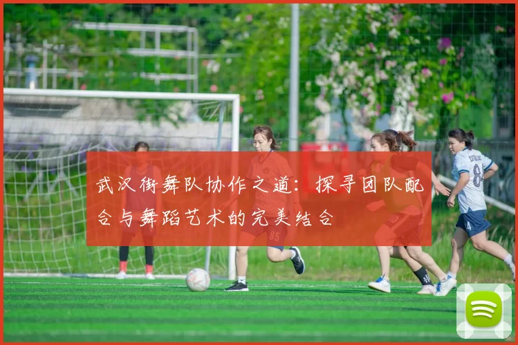 武汉街舞队协作之道:探寻团队配合与舞蹈艺术的完美结合