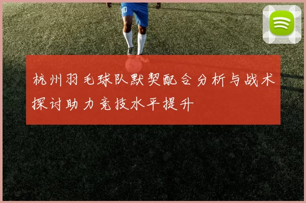 杭州羽毛球队默契配合分析与战术探讨助力竞技水平提升