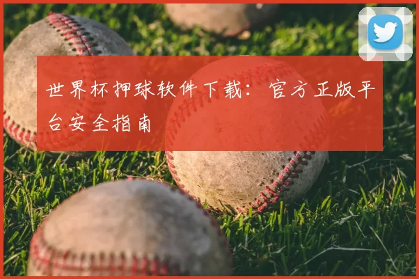 世界杯押球软件下载：官方正版平台安全指南