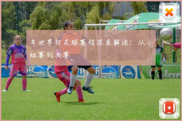 年世界杯足球赛程深度解读：从小组赛到决赛
