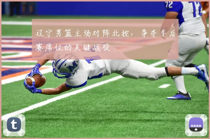辽宁男篮主场对阵北控，争夺季后赛席位的关键战役