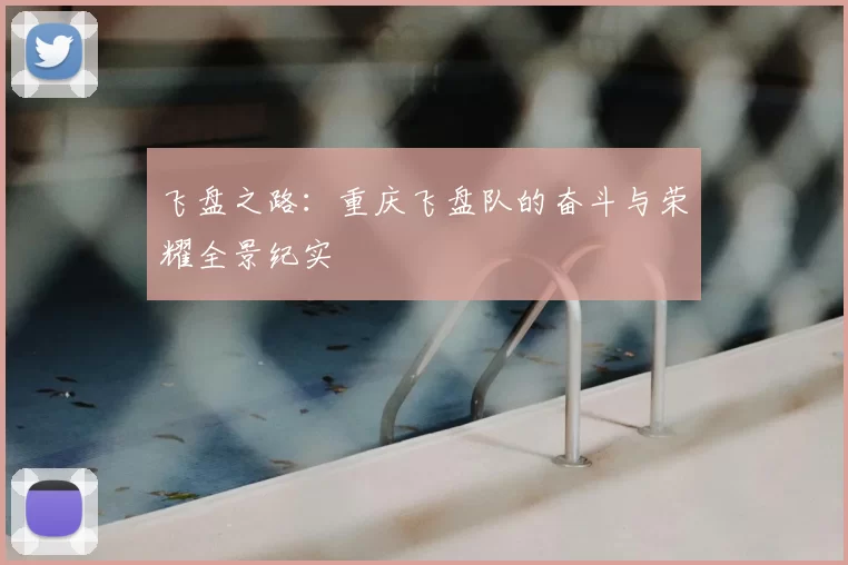 飞盘之路:重庆飞盘队的奋斗与荣耀全景纪实