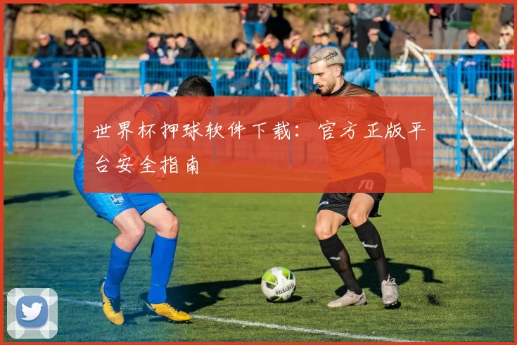 世界杯押球软件下载:官方正版平台安全指南
