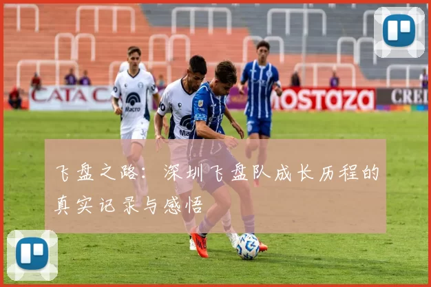 飞盘之路：深圳飞盘队成长历程的真实记录与感悟